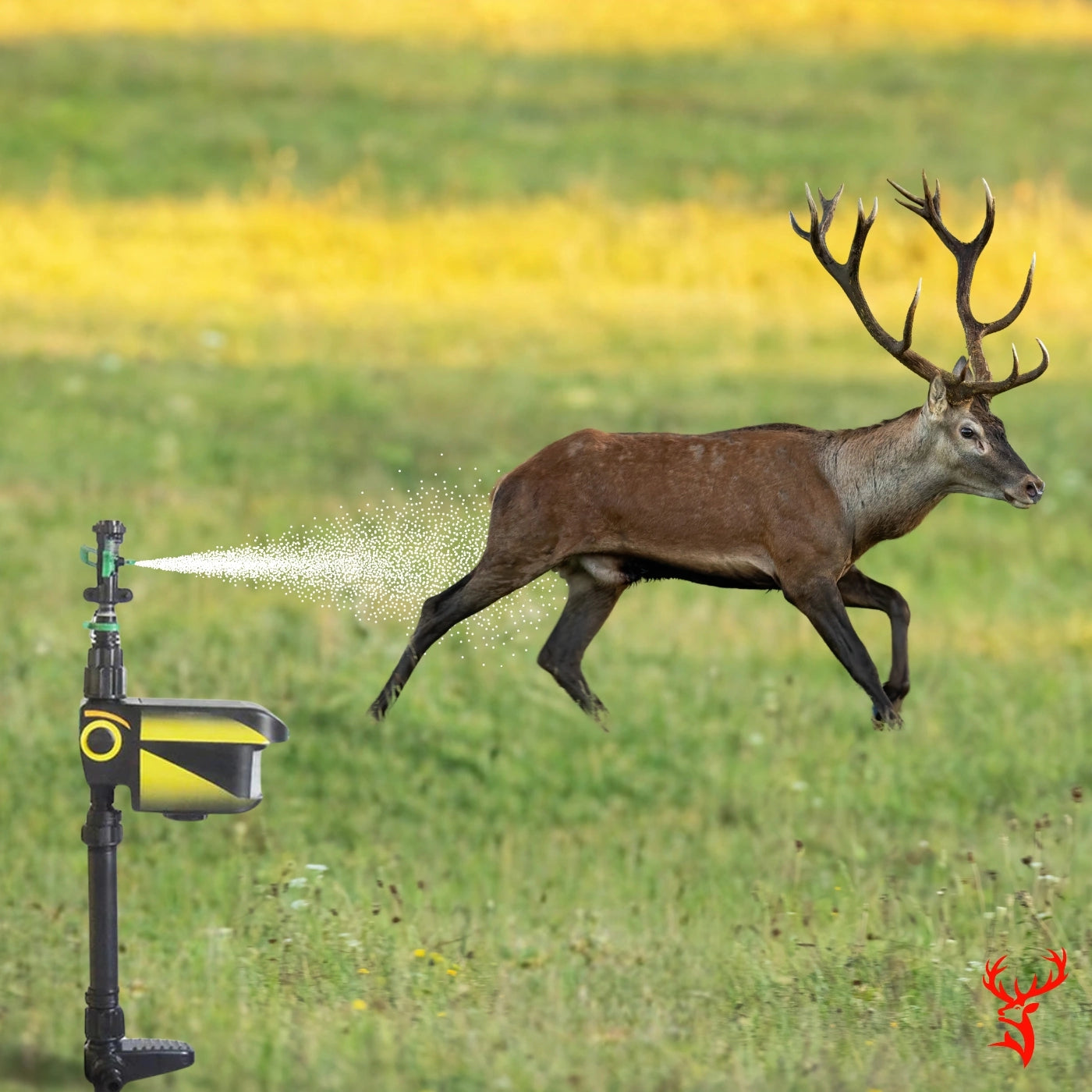 Motion-Activated Deer Sprinkler